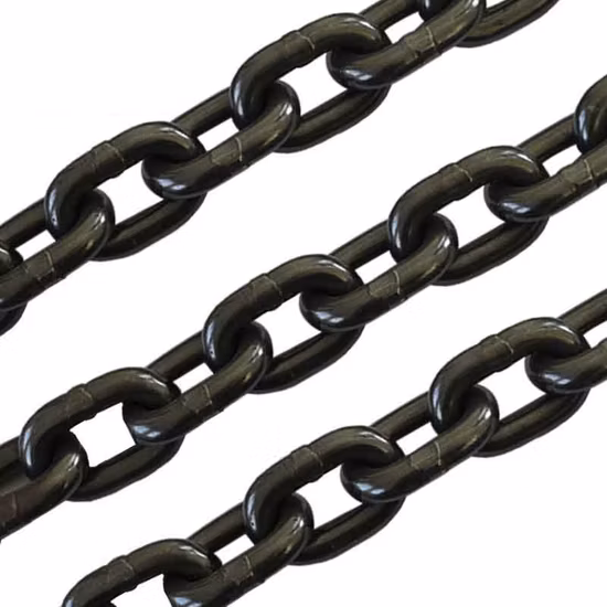 En818-2 G80 Chain Sling Assembly